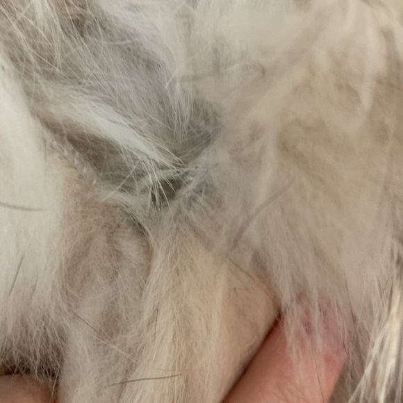 Love Token Tan Rabbit Fur Vest - Picture 7 of 7